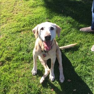 Meet your Posher, Jon